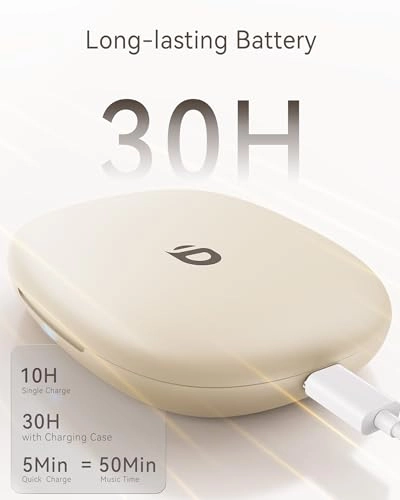 B19 Wireless Earbud