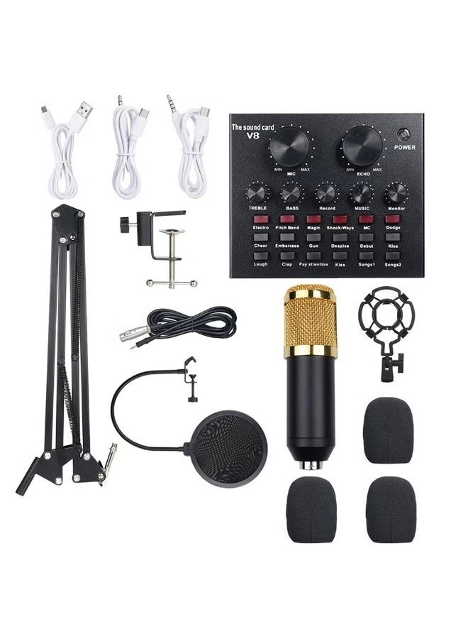 Live Sound Card + Condenser Microphone Wireless Microphone