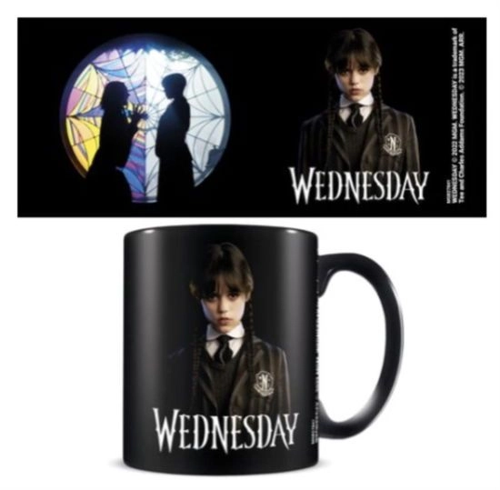 Wednesday Friendship Mug - 315 ml