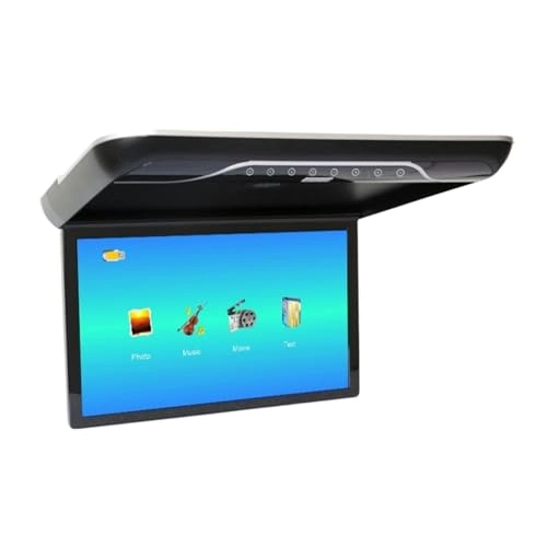 Roofmount LCD Monitor - 19in