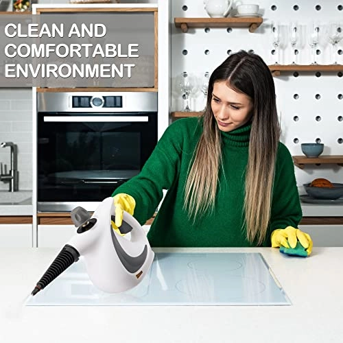 Handheld Steam Cleaner - 350 Milliliters