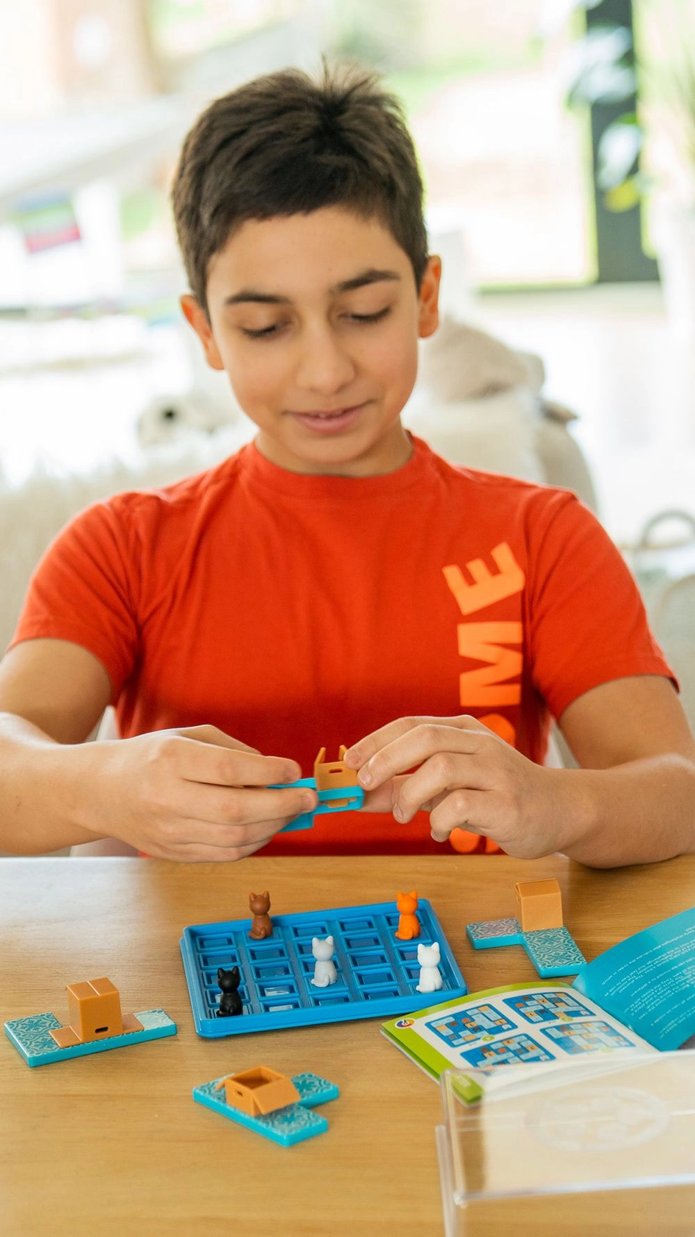 Cats and Boxes Puzzle (5414301525523)