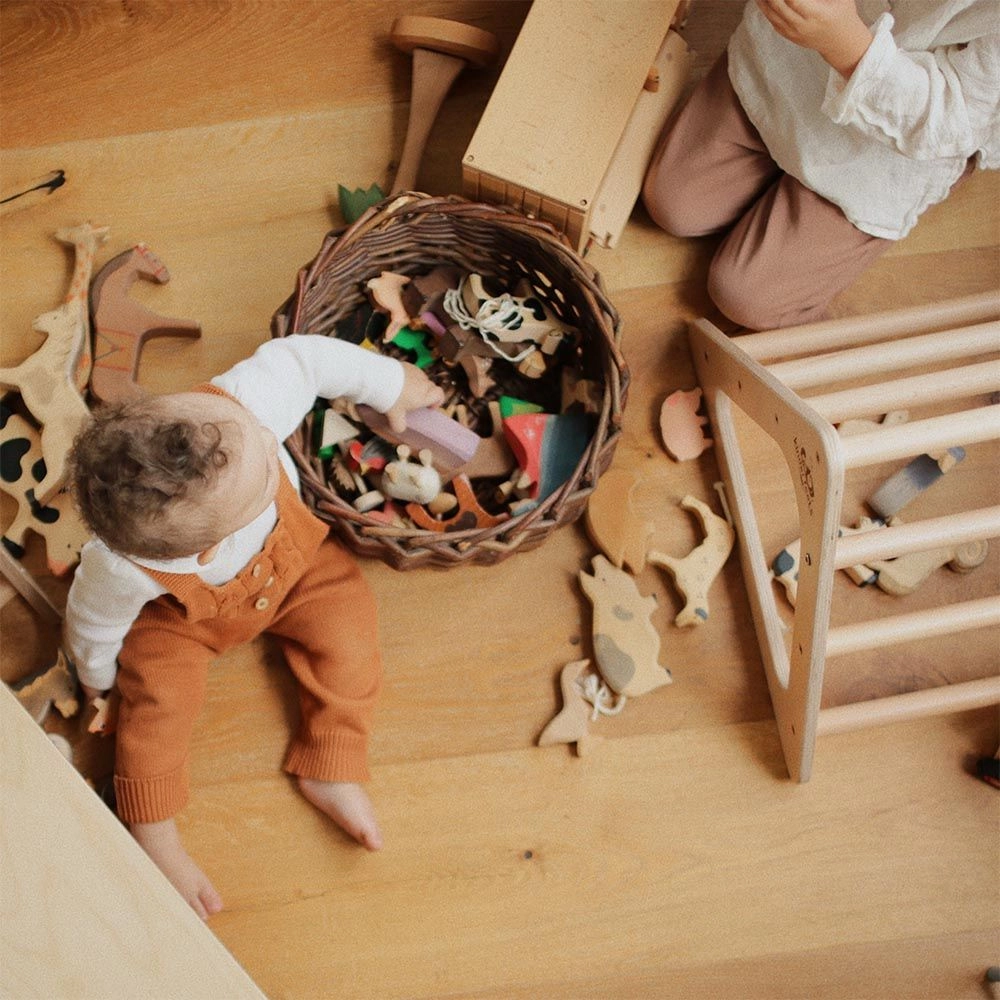 Pikler Climber Triangle - 12 months+