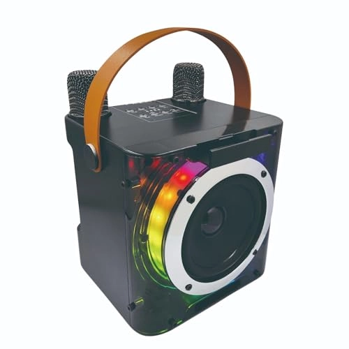 Karaoke Machine - 2 15W