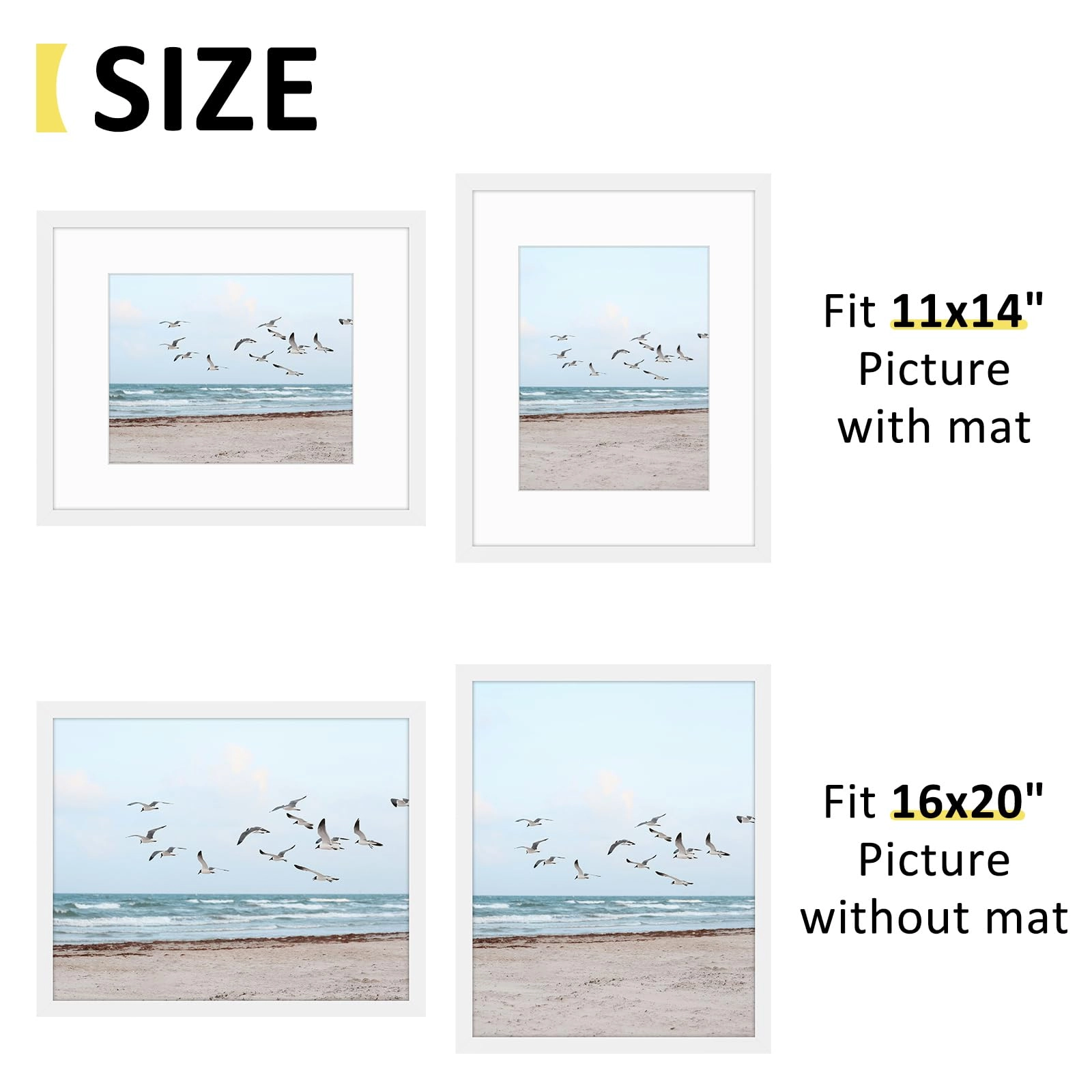 16x20 Frames Display