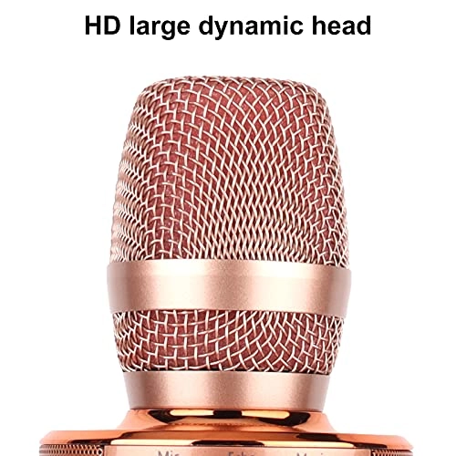 Wireless Microphone Wireless Microphone