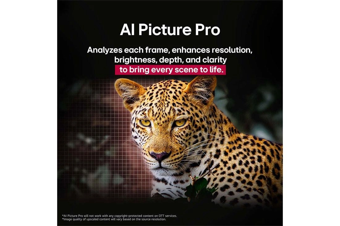 OLED77C56LA-AMAG - 77 Inches