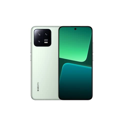 13 - 12GB 256GB