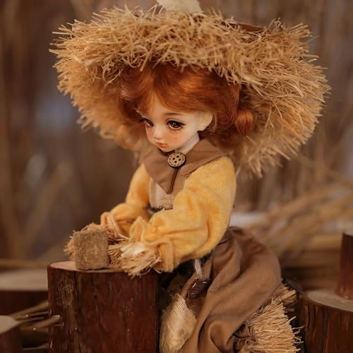 BJD Doll - 1/6 Resin Girl Ages 15+ Set