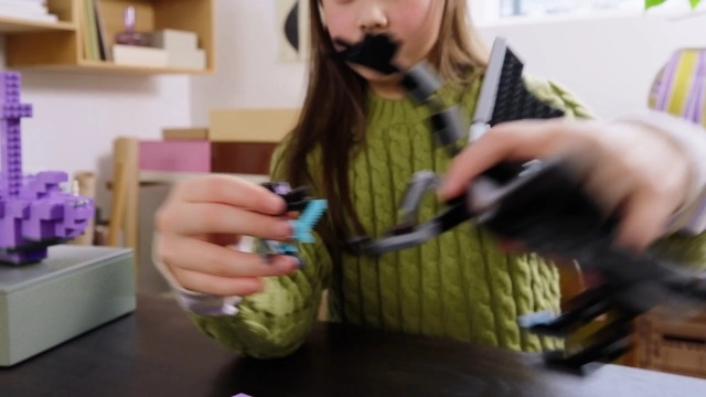 Minecraft The Ender Dragon and End Ship (21264)