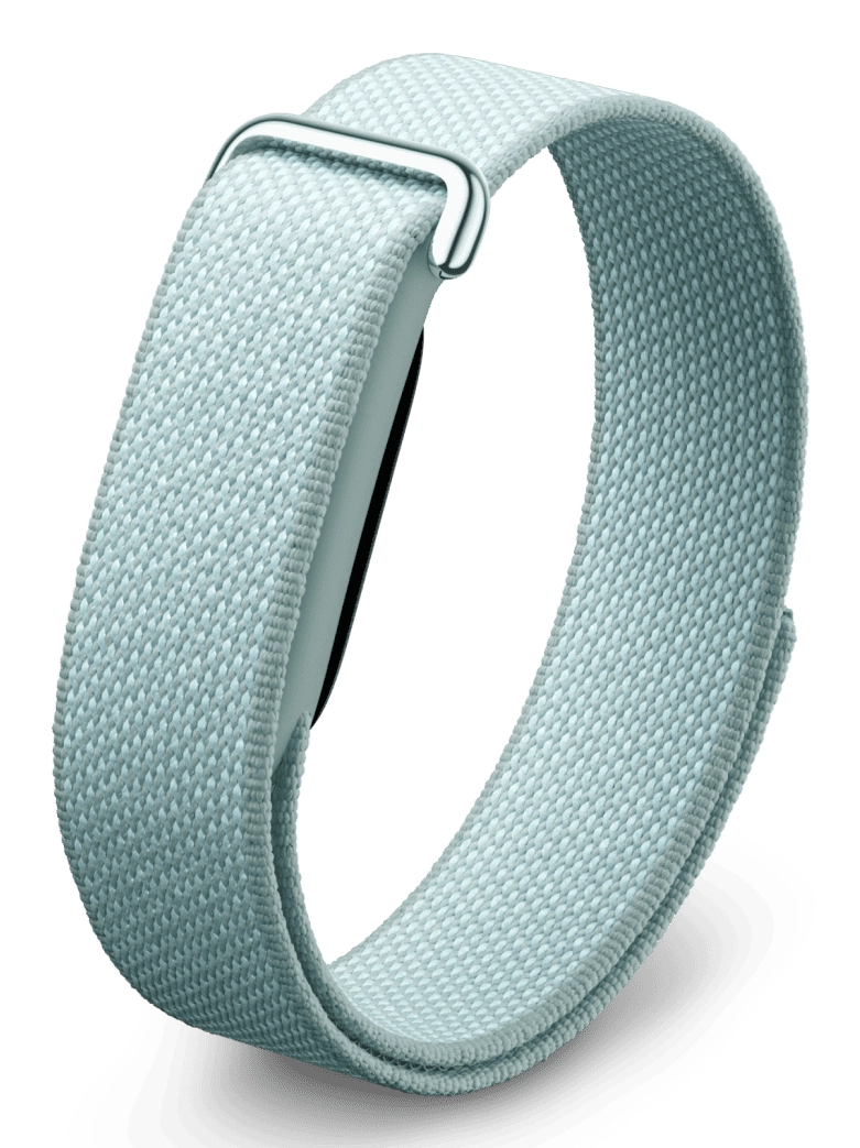 Fitbit Air