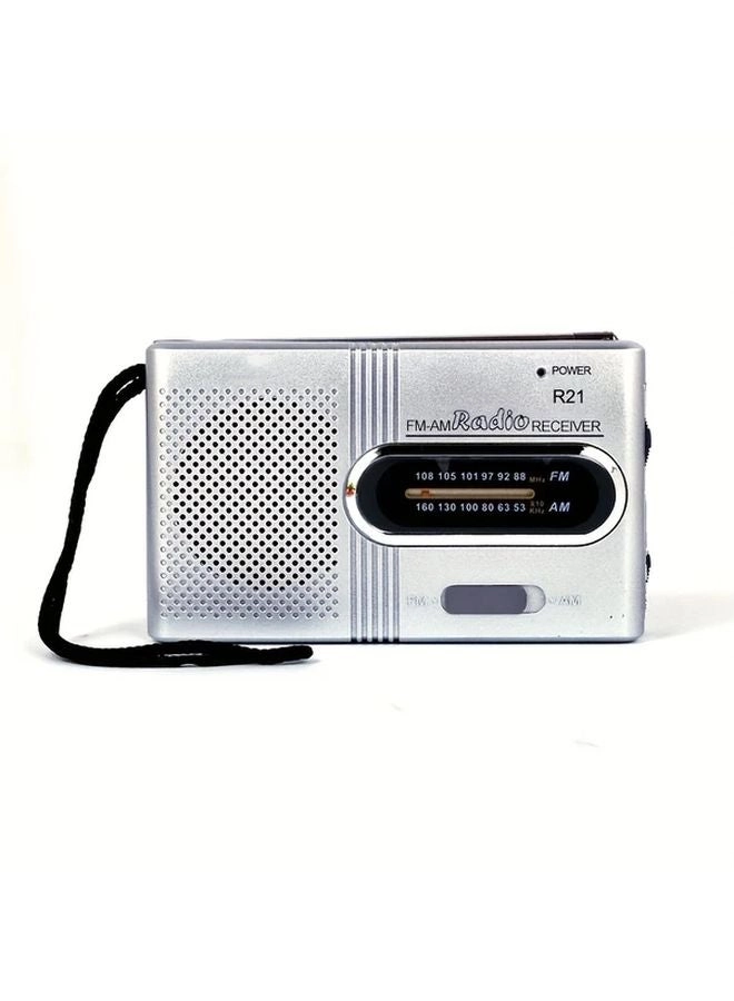 Generic Mini Portable AM FM Radio - VFD display Analog tuning 100mW