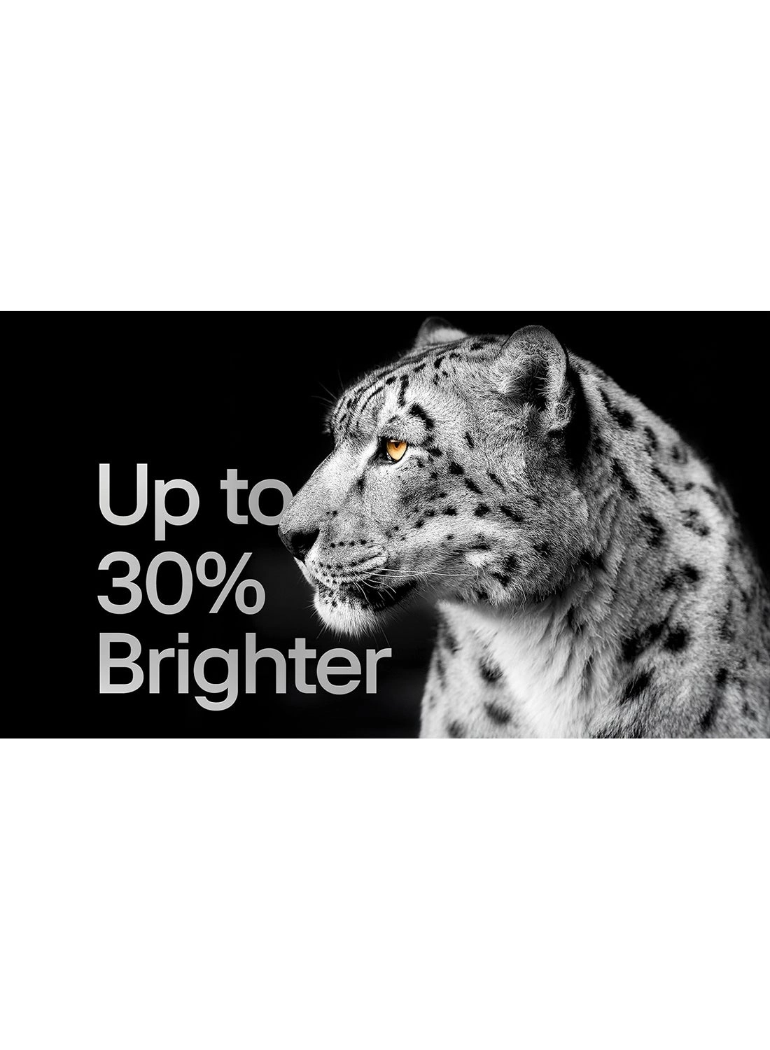 OLED48C46LA+SOUNDBAR - 48 inch