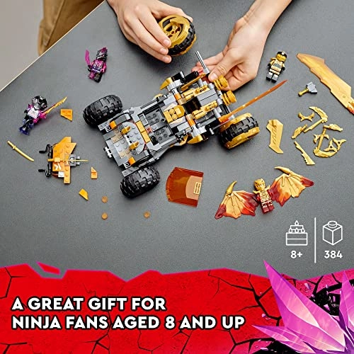 NINJAGO Cole’s Dragon Cruiser (71769)
