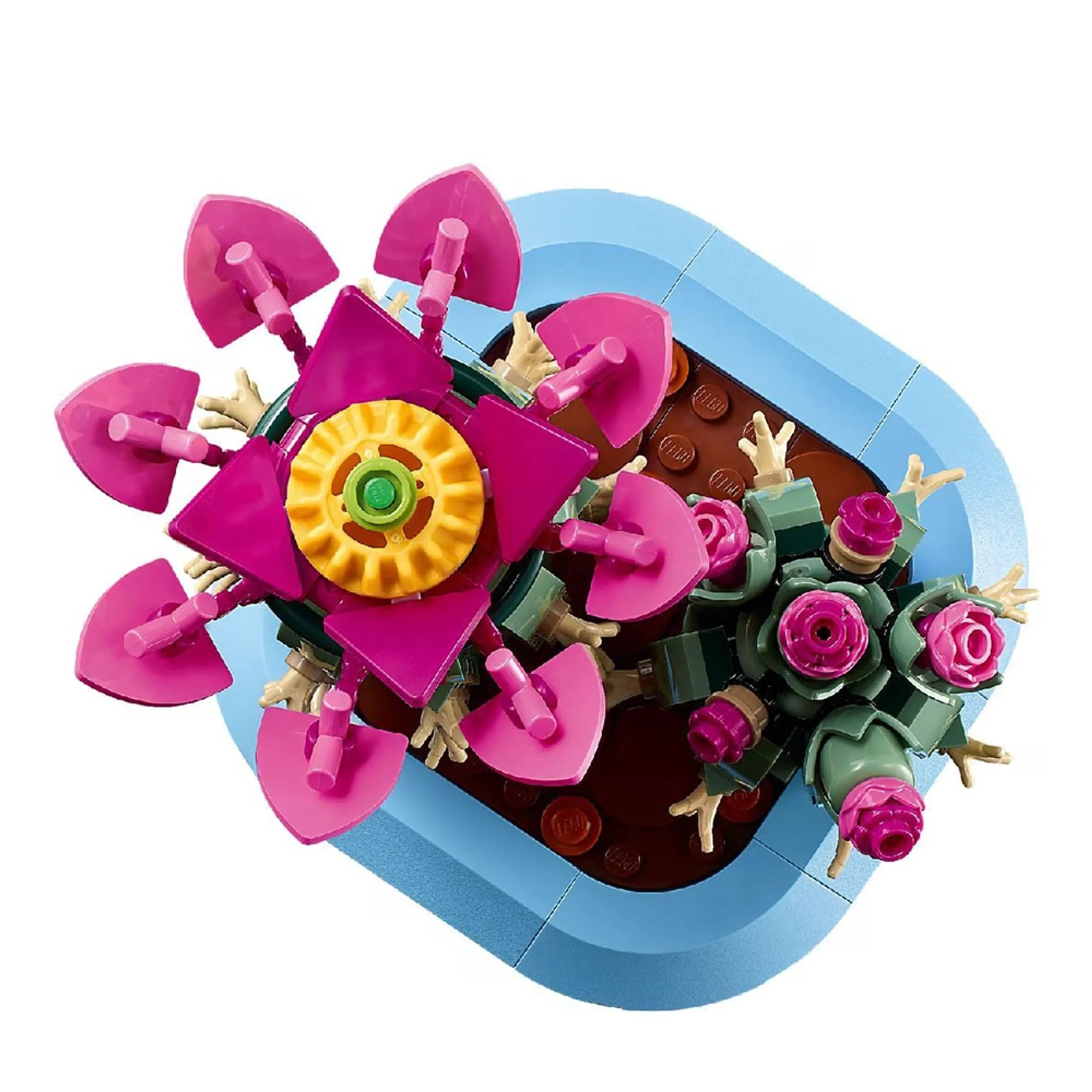 Flowering Cactus (11509)