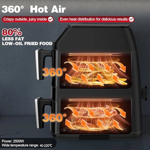 Dual Air Fryer AF1102