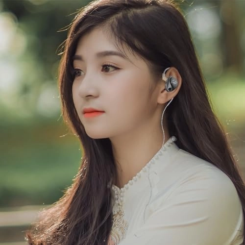 Castor 2DD - Wired Earphone