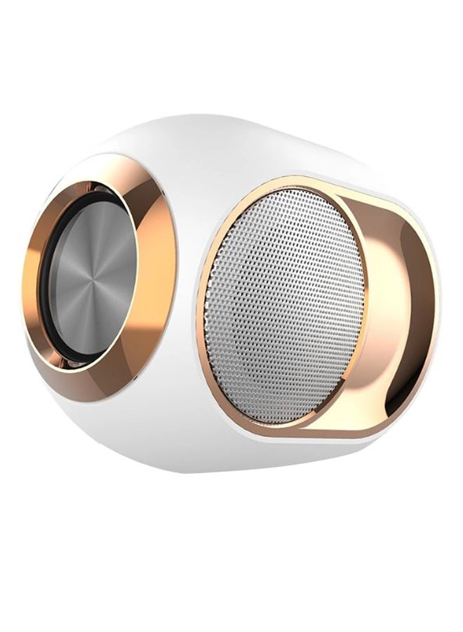 Speaker