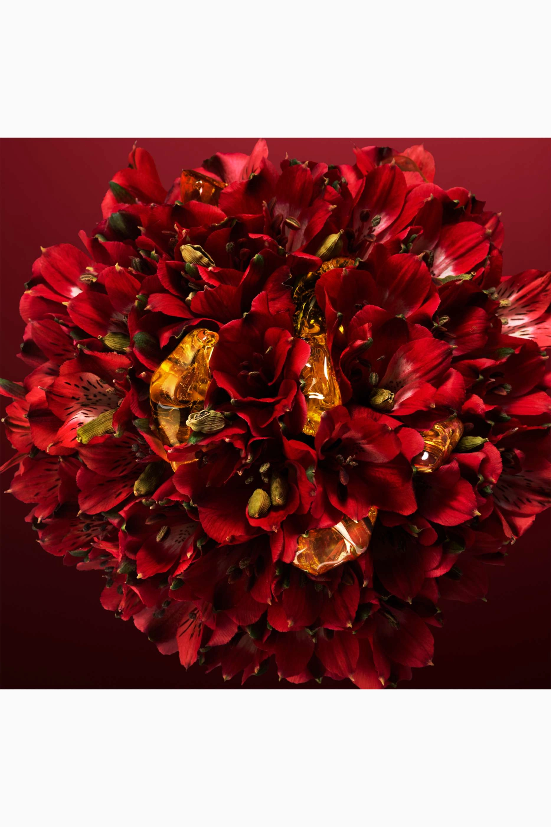 Amazonian Rose Eau de Parfum - 100ml