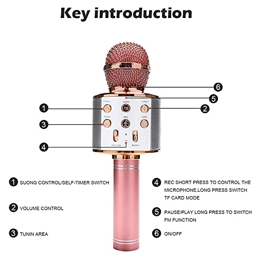 ZDARDYC10373GTDGZDAEDY Wireless Microphone