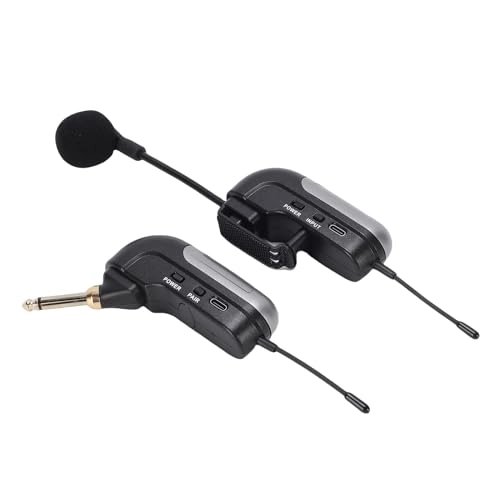 Accordion Microphone - 1