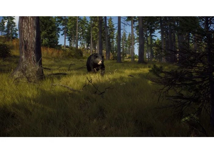 Way of the Hunter: Hunting Season One - PlayStation 5