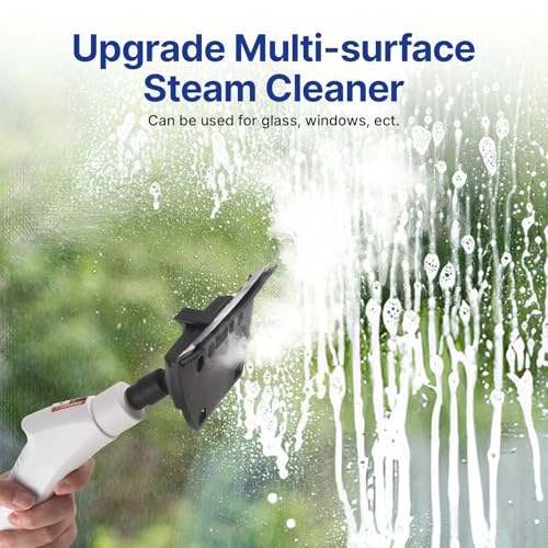 Steam Cleaner - 2500W 220V