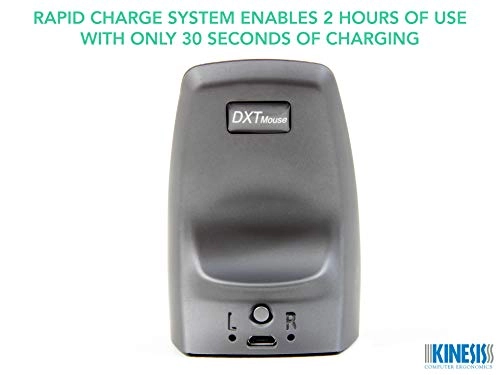 DXT 2 Vertical Ergonomic Mouse - Wireless