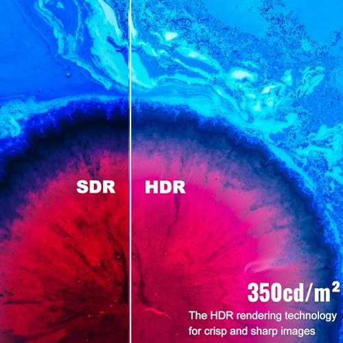 Portable Touchscreen Monitor - FHD 1080p 18.5 Inches