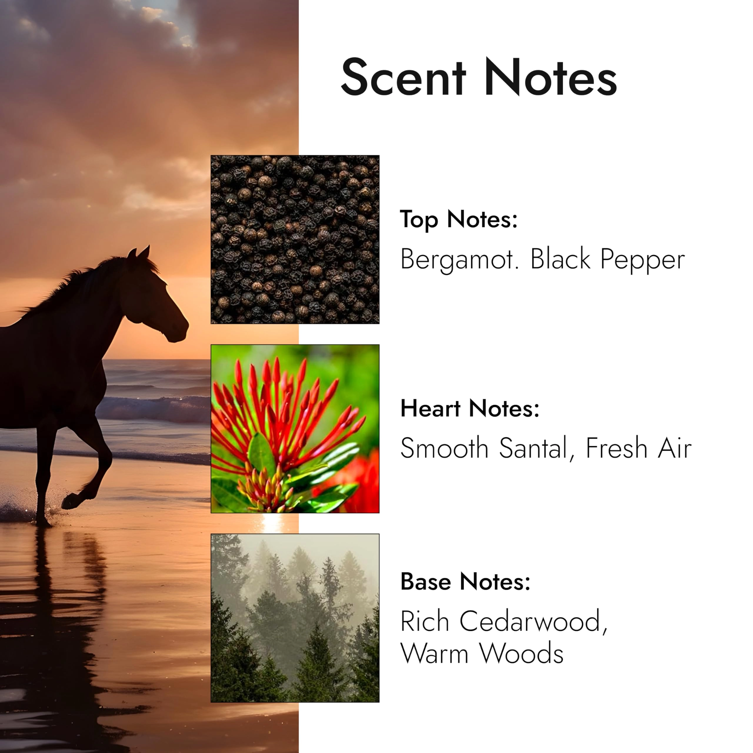 Born Hero Eau de Toilette 75 ml