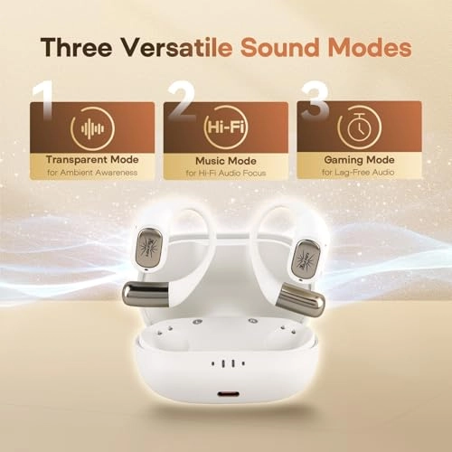 Kiwi Ears Attiva OWS Wireless Earbud