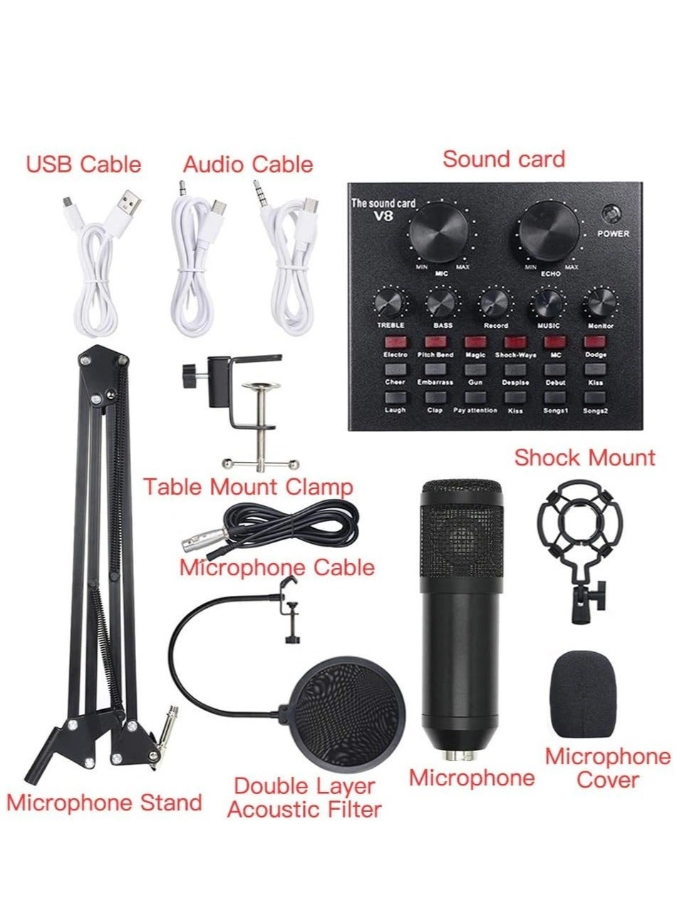 Live V9 + BM800 Wireless Microphone Kit