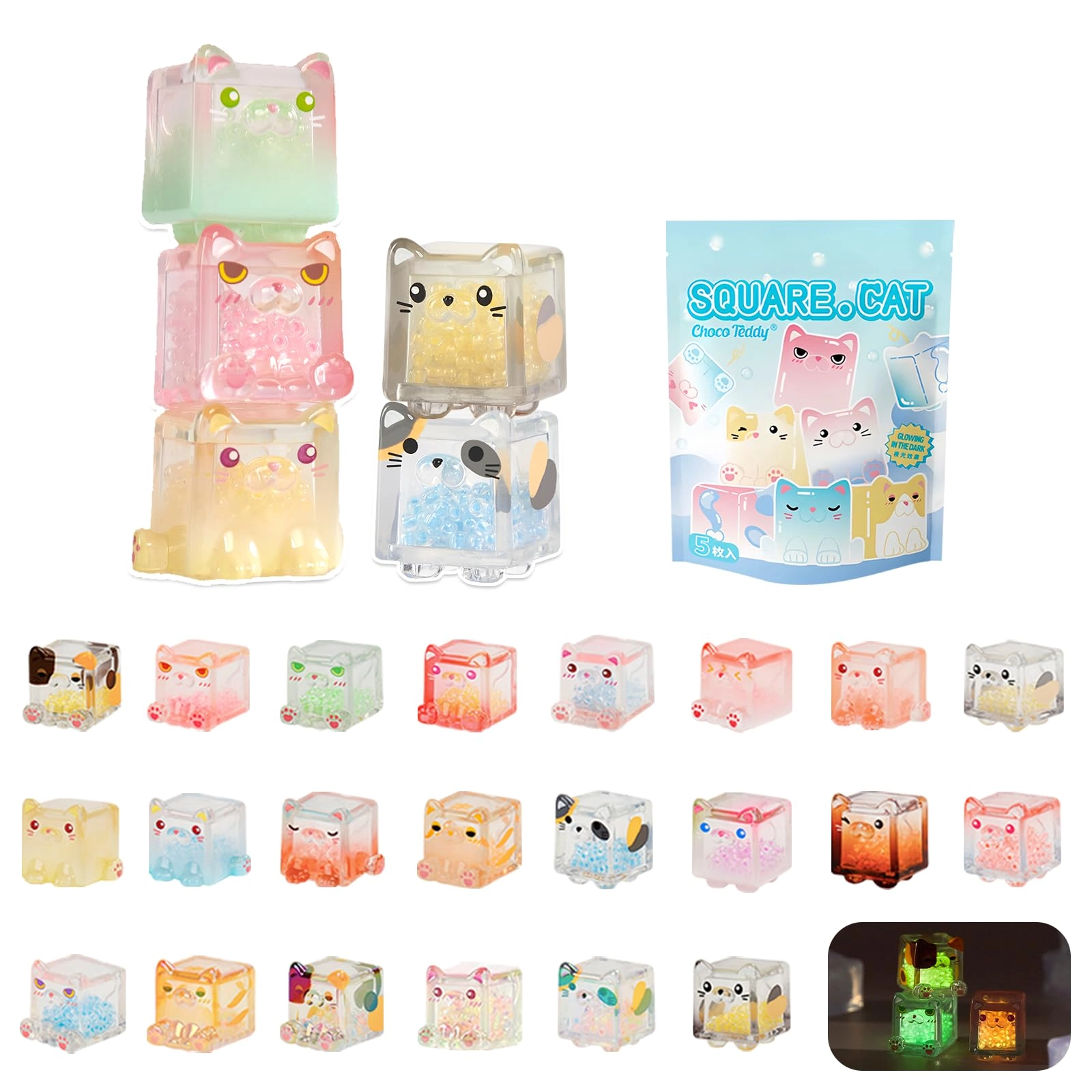 Choco Teddy Square Cat Series - 15 years Cat 5