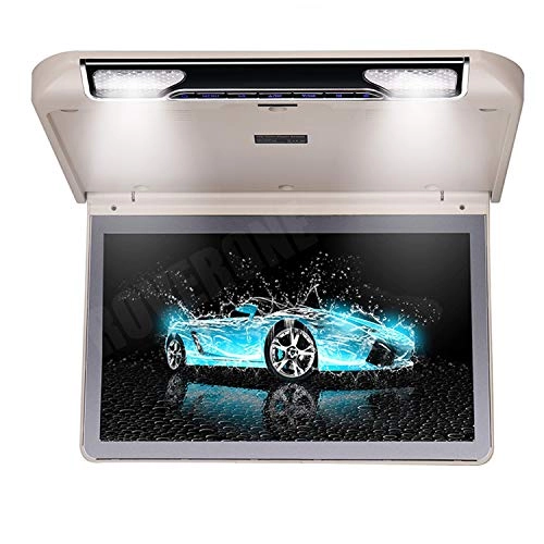 Flip Down Unit - 13.3 Inches