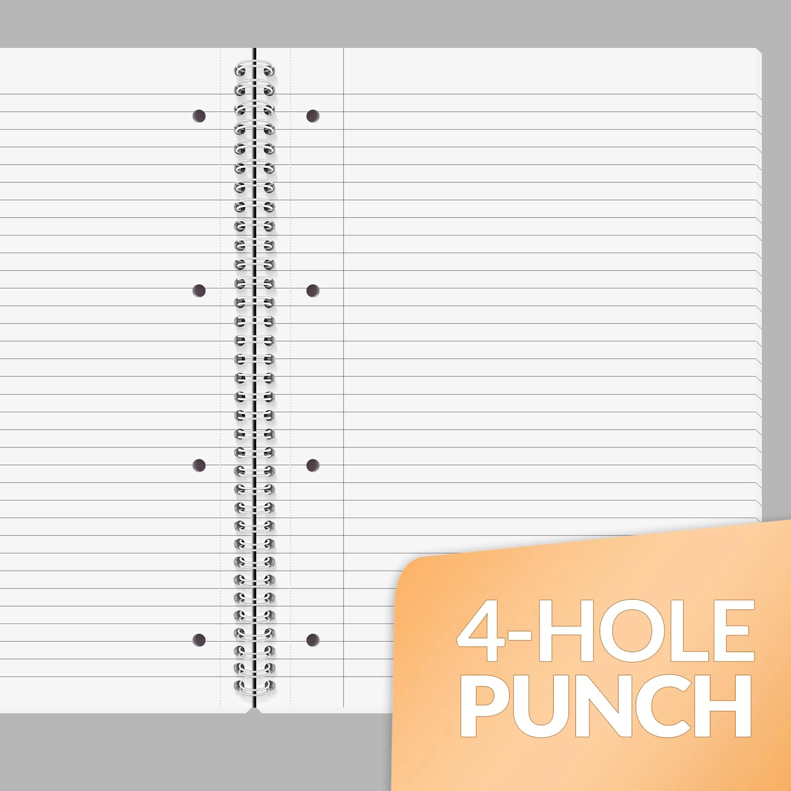 Notebook A4 Spiral - Lined 100 Sheets
