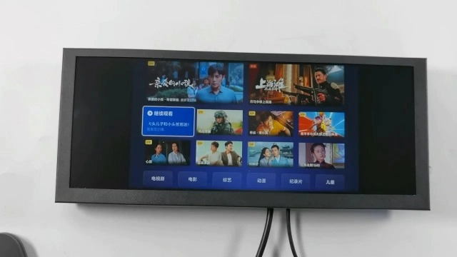 VS123AZ01 - 720P 12.3 inch