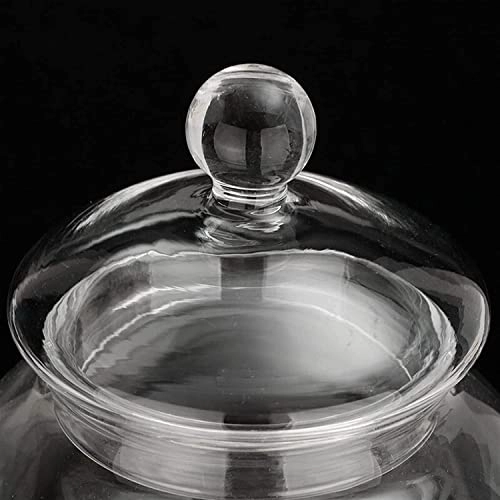 Percolator - 480mL/600mL Stainless Steel Heat-resistant Glass