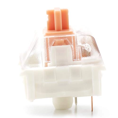 Halo True - 90-Pack Plate Mounted