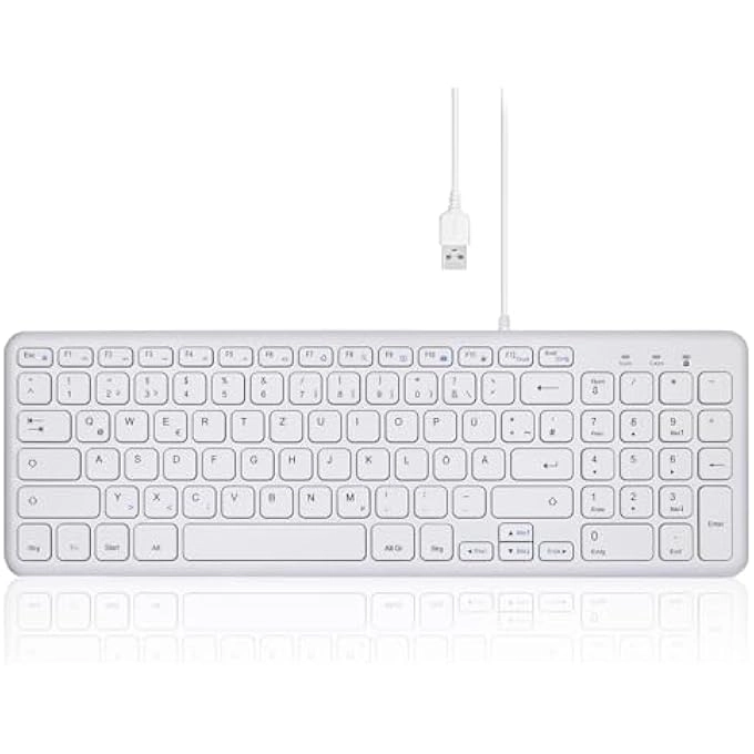 rayihni PERIBOARD-213W - DE Wired