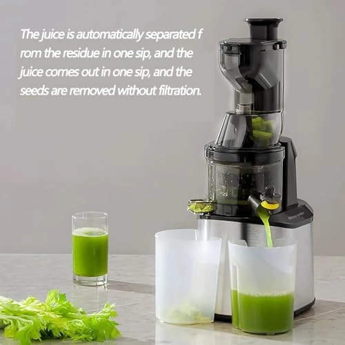 Pomace Separation Juicer - 150W 500ML