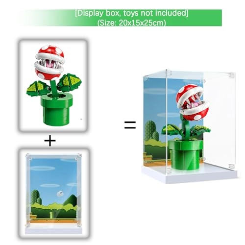 Acrylic Display Case