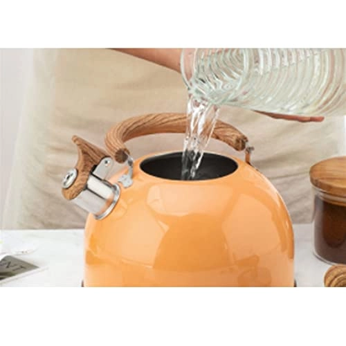 Kettle - food-grade stainless steel