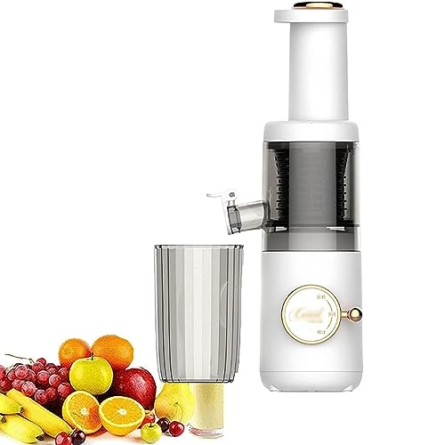 Compact Masticating Slow Juicer - 120W 620 Milliliters