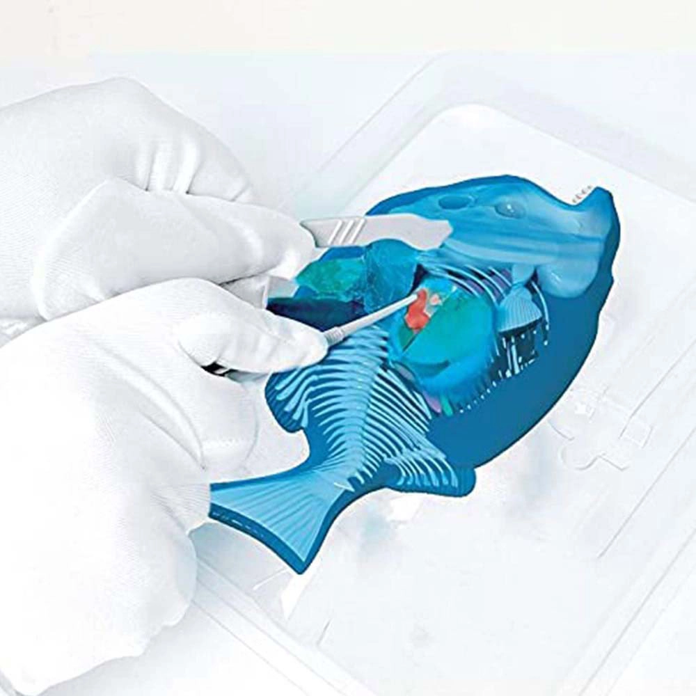 Lab Dissect-It - 6 years+