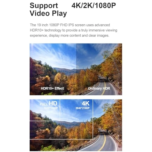 Car ceiling display - 19-Inch