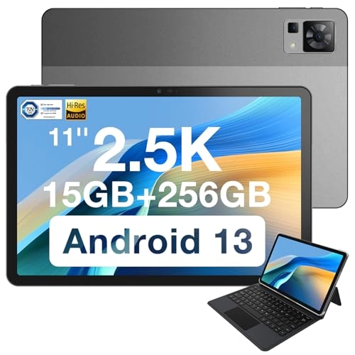T30 Pro - 256GB 11"