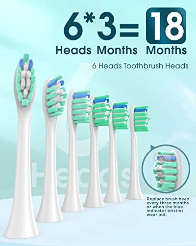 Y01 - 6 Brush Heads Type C 180 Days