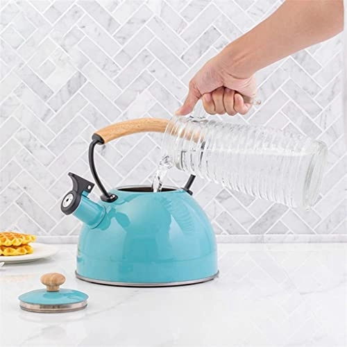 Whistling Kettle - 2.8L