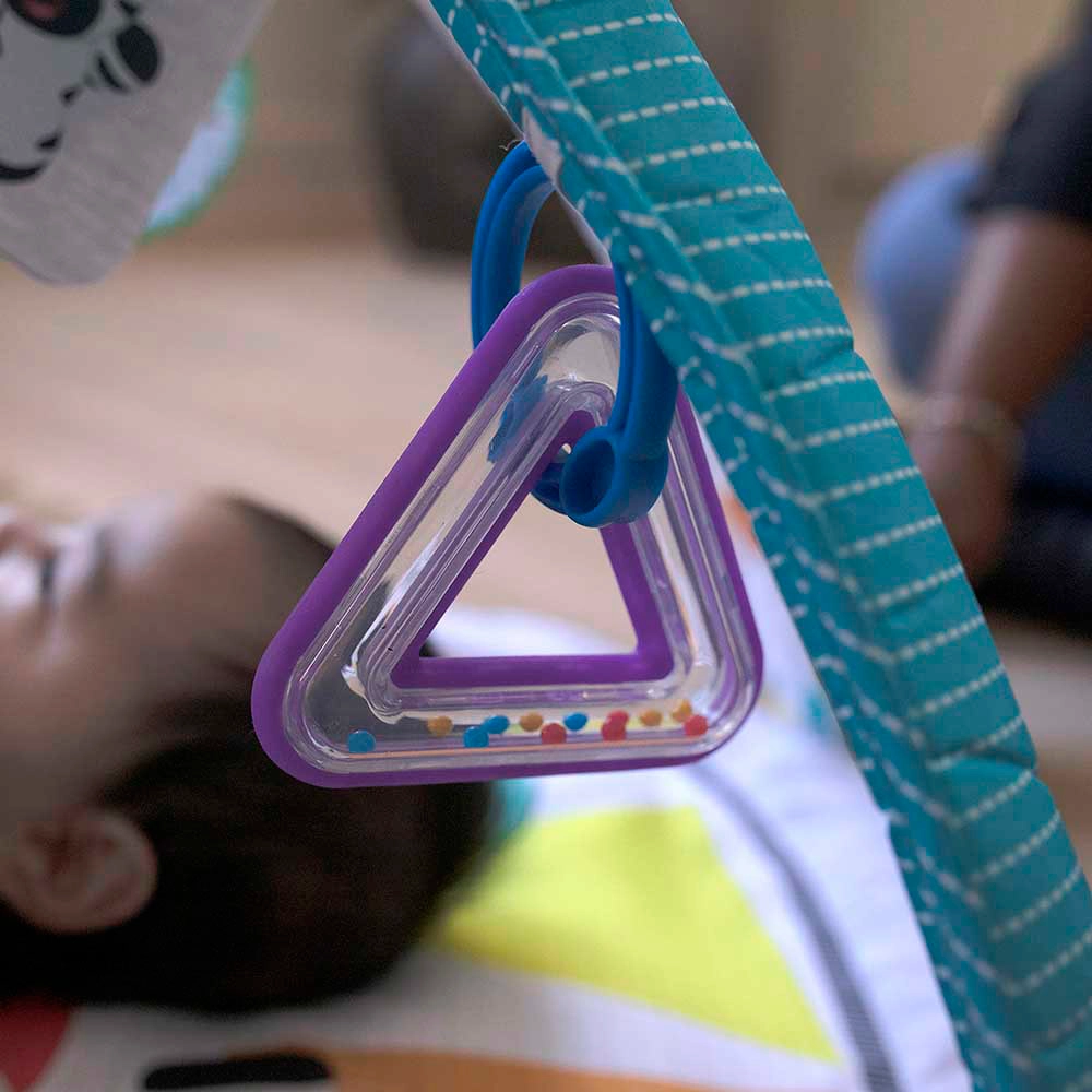 4-in-1 Kickin’ Tunes Musical Meadow Music & Language Discovery Gym - 0 months