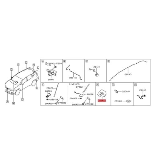 Rear View Camera - Night vision